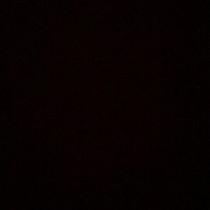 Meet your Posher, Gracie